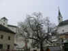 salisburgo_n_0588.jpg (118087 bytes)