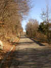 La strada verso Chialminis