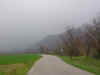 Verso Nimis
