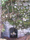 Inferiore