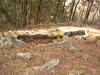 Chiauians