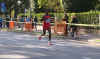 viale Trieste