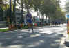 viale Trieste