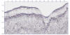 Boomer profile collected in La Maddalena