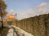 mura
