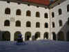 Cortele interno
