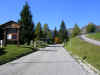 Sauris