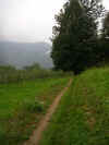 Strada che porta a Sorzento