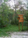 trivio