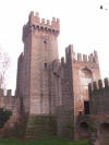 Rocca degli alberi