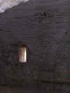 Pipistrelli nella cantina del palazzo settentrionale